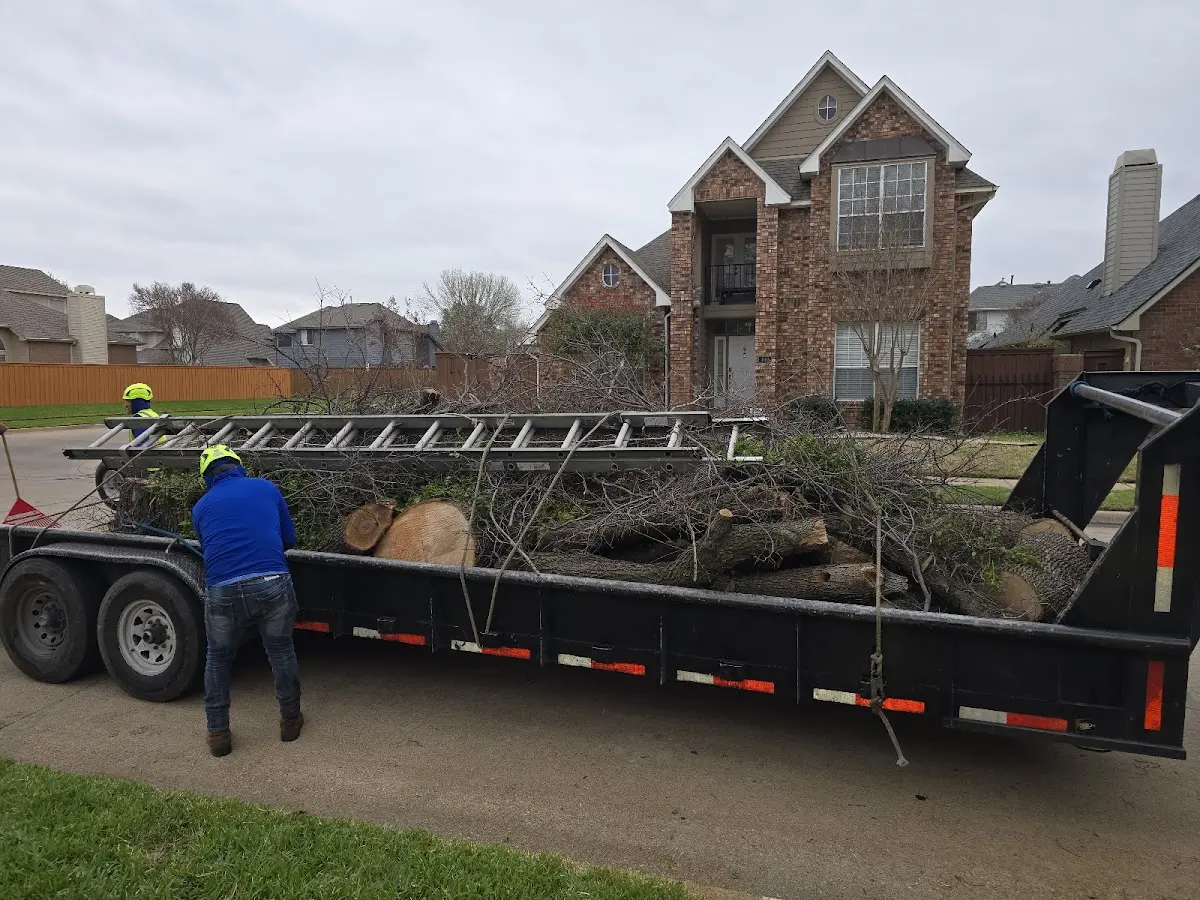Expert Tree Fertilization with proper safety equipment in Kempton